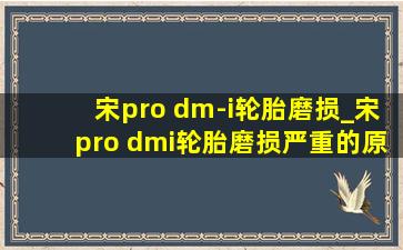 宋pro dm-i轮胎磨损_宋pro dmi轮胎磨损严重的原因